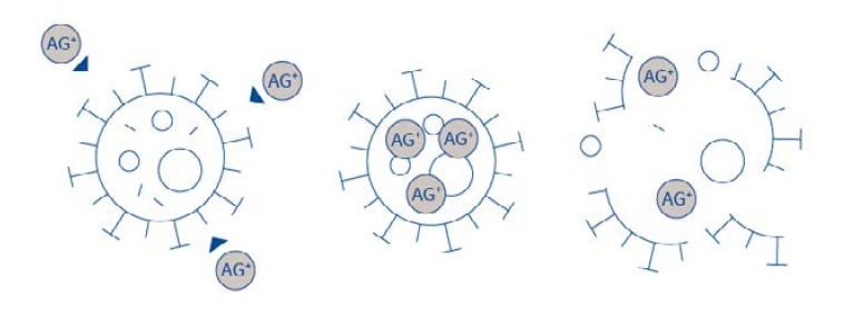 AMP Antimicrobial door